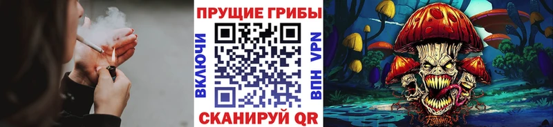 Галлюциногенные грибы мухоморы  Куровское 
