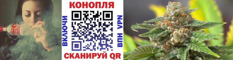 Бошки Шишки Amnesia  Куровское 